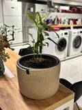 Handmade Cotton Rope Basket: Beige & White Woven Storage  Flower Pot Basket