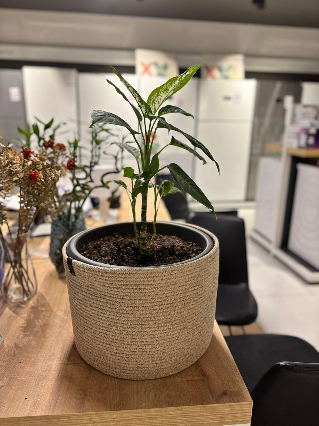 Handmade Cotton Rope Basket: Beige & White Woven Storage  Flower Pot Basket
