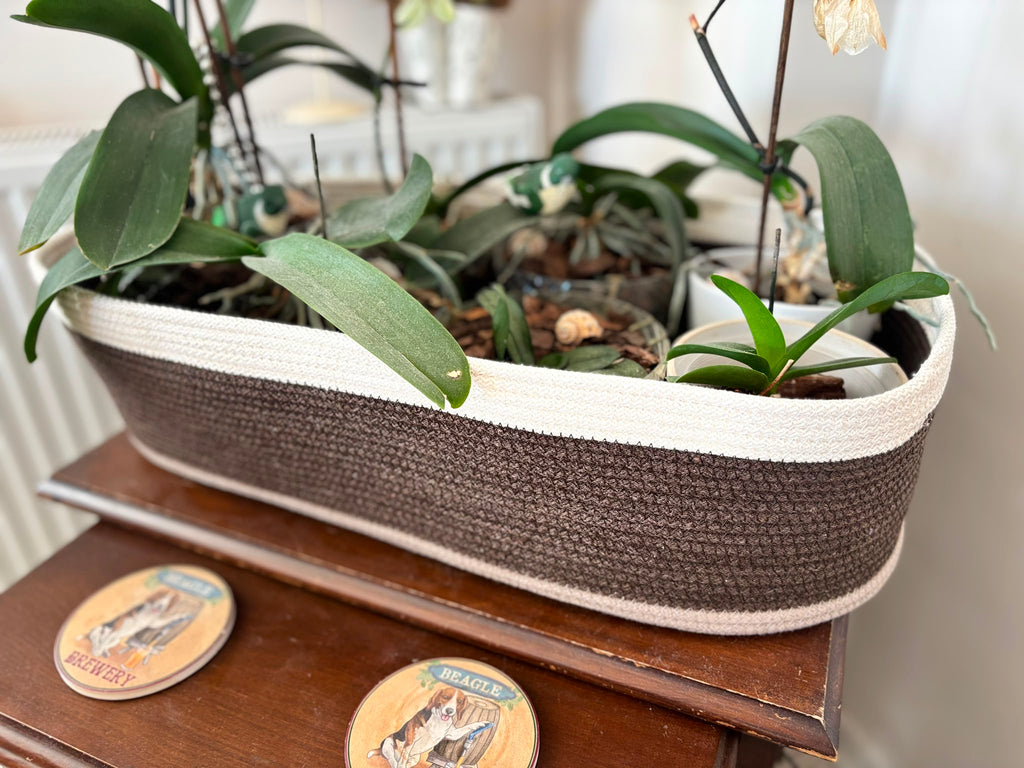 Handmade Woven Bread Basket Set: Rustic Kitchen Table Decor
