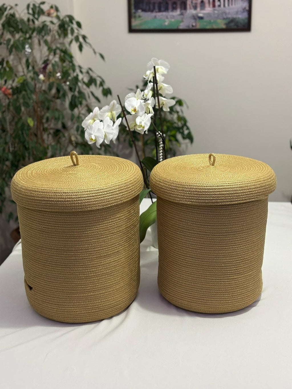 Handmade Woven Rope Basket with Lid: Versatile Home Organizer Multiple Color