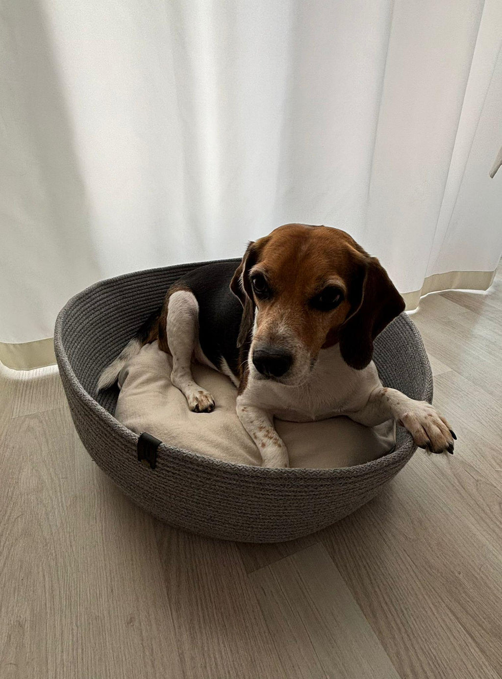 Handmade Woven Pet Bed Basket with Washable Pillow Cover (No Filling Included)