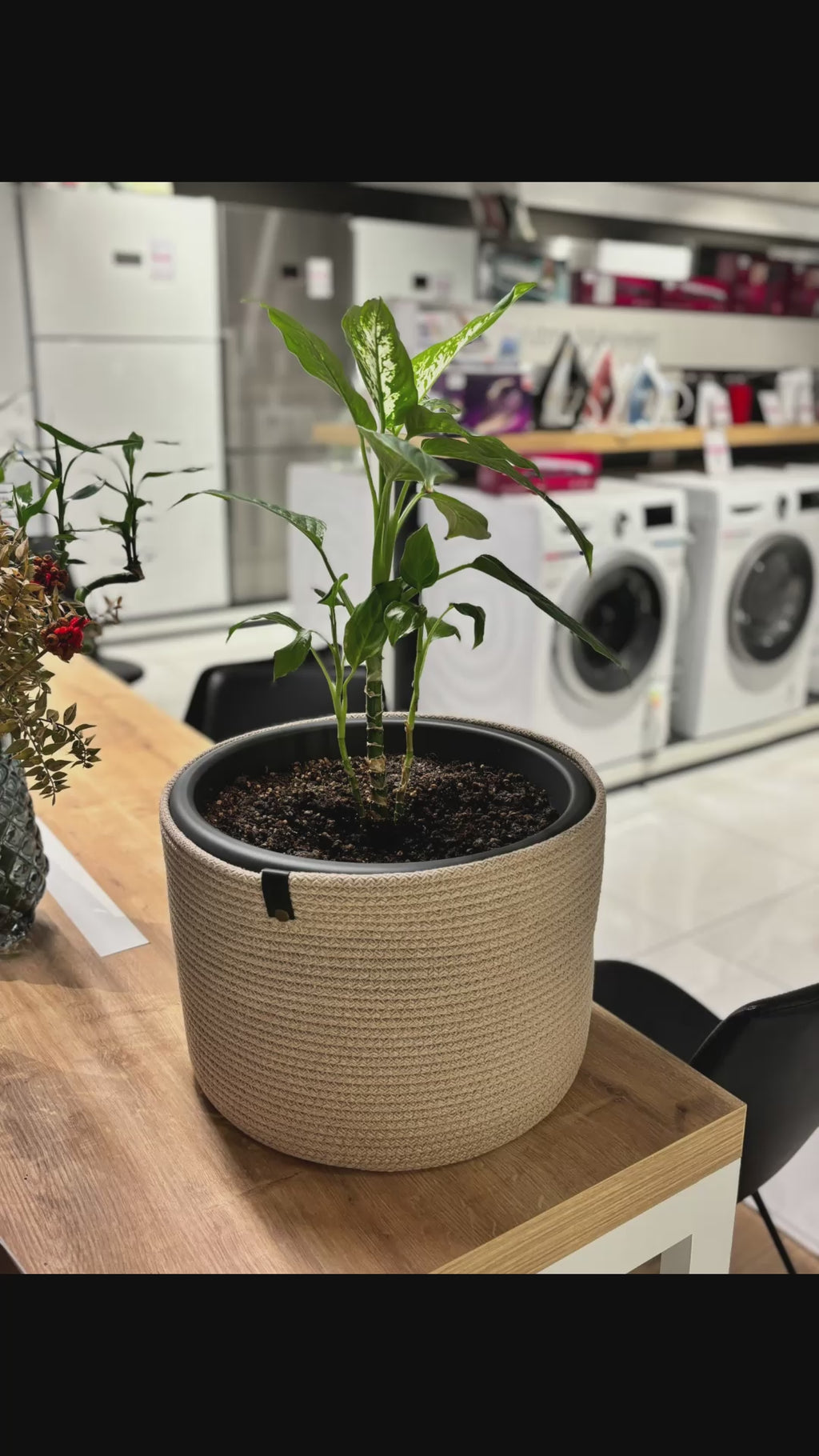 Handmade Cotton Rope Basket: Beige & White Woven Storage  Flower Pot Basket